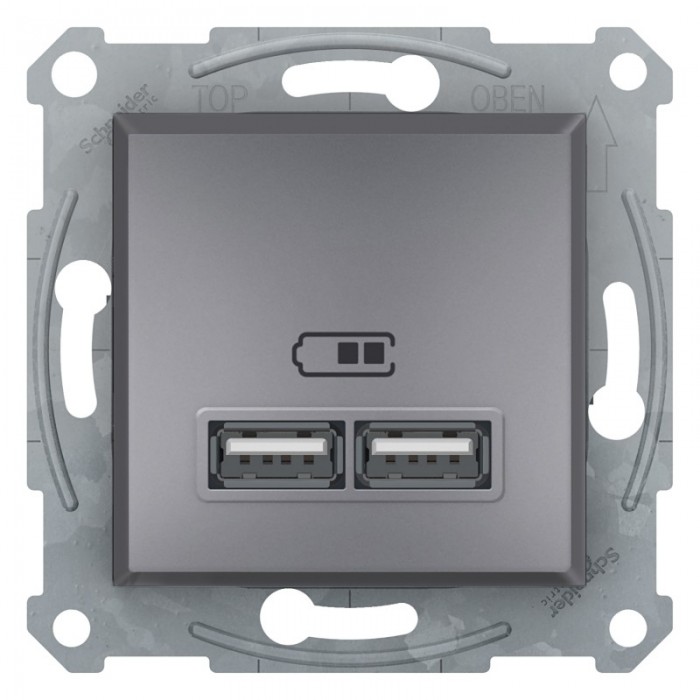 USB-розетка подвійна Schneider Electric Asfora Сталь (EPH2700262)